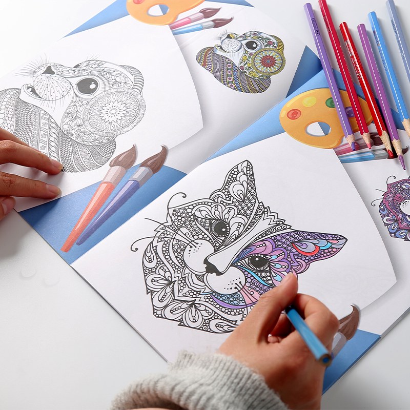 Animal Theme Coloring Book for Kids